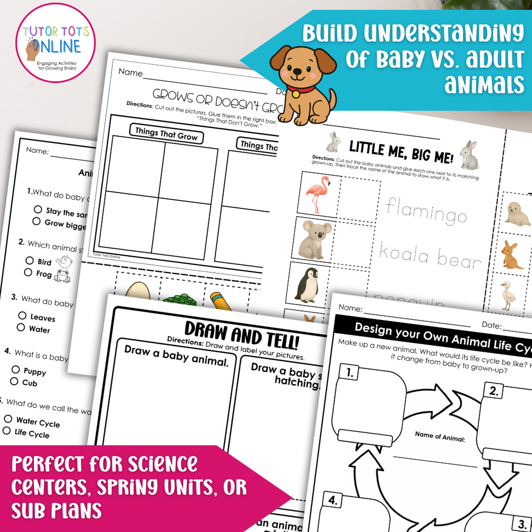 Animal Life Cycle Assessment Pack | Science, Fine Motor & Handwriting (PreKā1st)