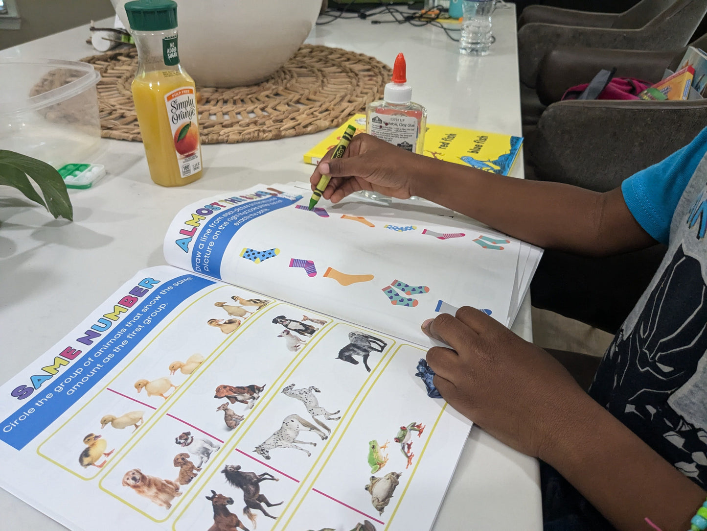 See, Sort, Count! Early Math Workbook (Ages 3-5)